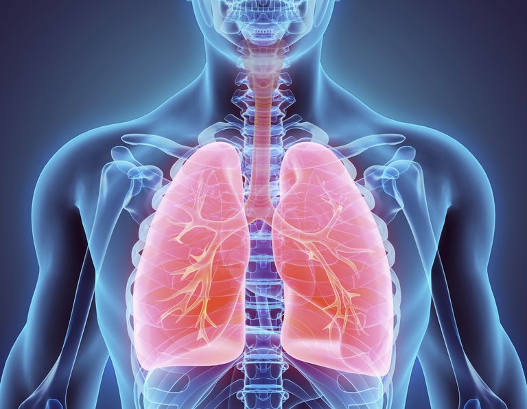 căile respiratorii, care este, medicul dumneavoastră, timpul unei, timpul unei bronhoscopii