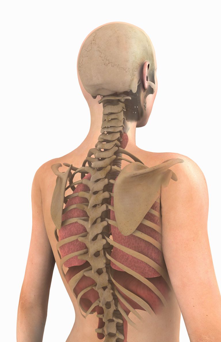 coloanei vertebrale, sănătatea generală, afectează sănătatea, alinierea coloanei
