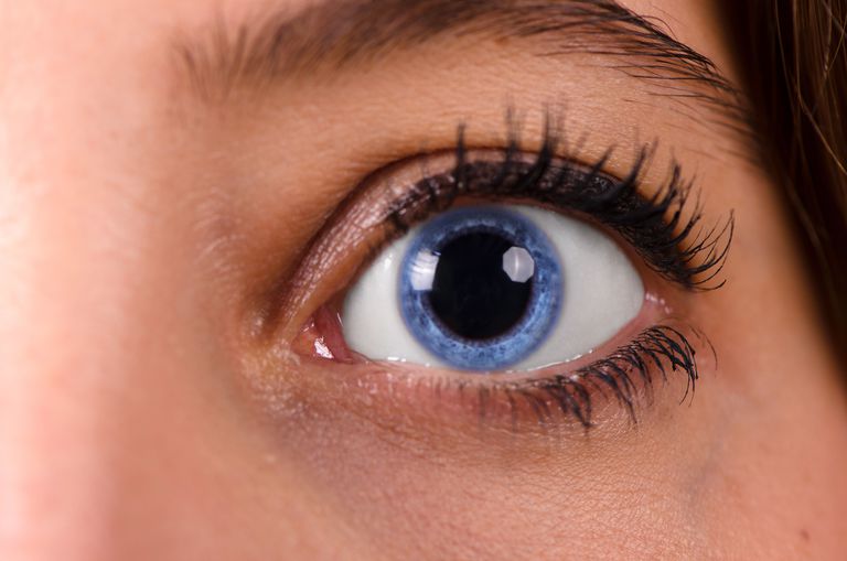 oculare cicloplegice, picătură oculară, corpul ciliar, picături oculare, oculară cicloplegică, picătură oculară cicloplegică