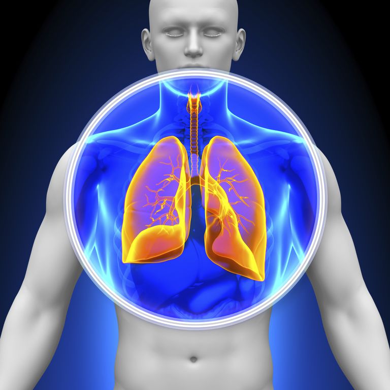 cancer pulmonar, celule mici, pulmonar celule, pulmonar celule mici