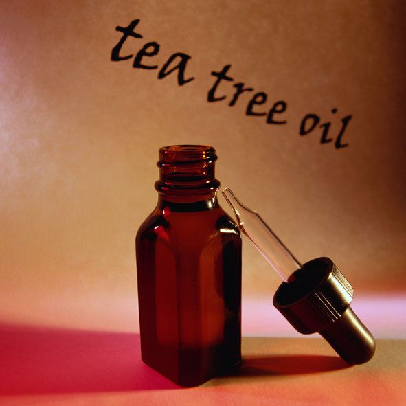 arbore ceai, ulei arbore, ulei arbore ceai, pentru acnee