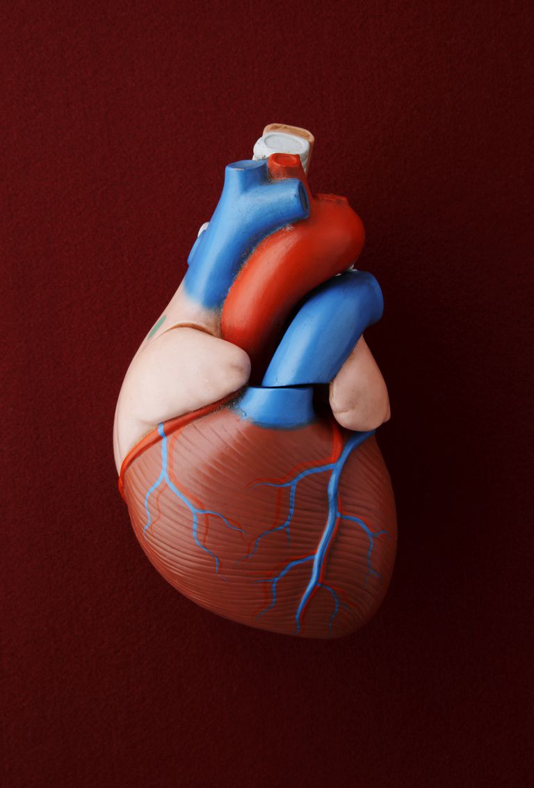 fracție ejecție, ejecție este, mușchiul inimii, este obicei, fracția ejecție