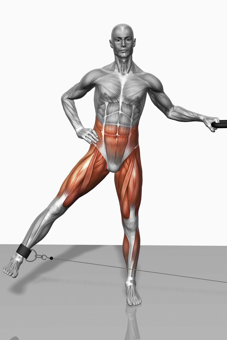 corpului este, linia mediană, mediană corpului, articulației șoldului