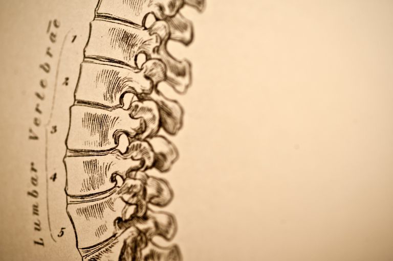 coloanei vertebrale, lombară este, atunci când, care poate, Coloana lombară, coloana lombară este