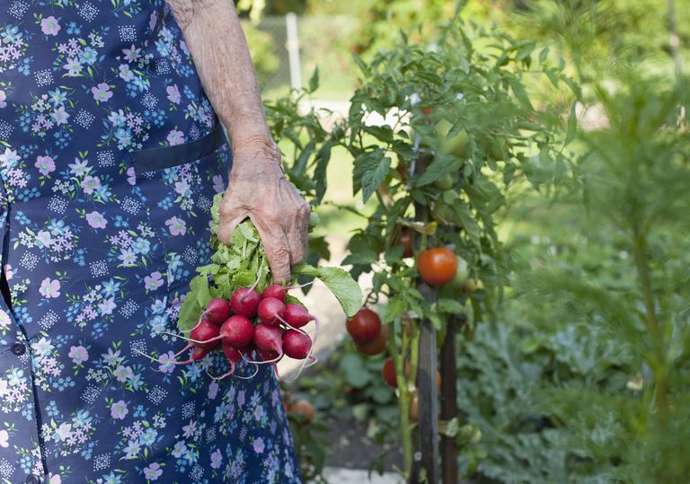 fructe legume, multe altele, persoanele vârstă, ajuta trăiți, despre îmbătrânire