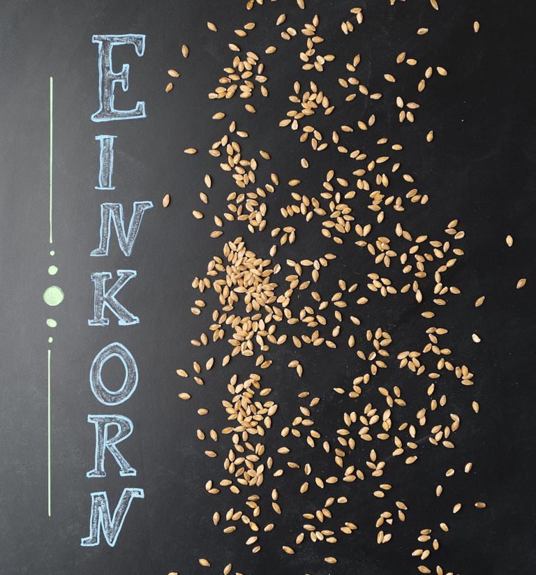 grâu Einkorn, fără gluten, boală celiacă, forme grâu, grâu vechi, studiu publicat