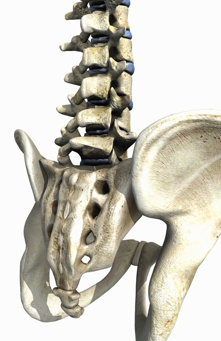 coloanei vertebrale, osului sacru, alte cuvinte, baza sacrală, care este, cele două