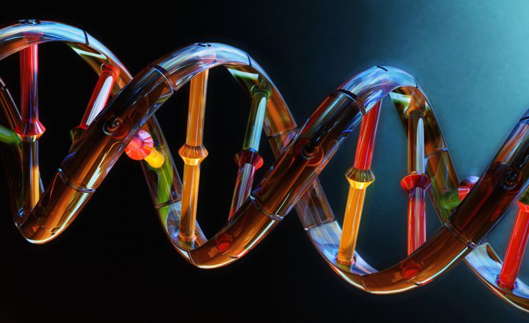 testelor genetice, machiajul genetic, pentru determina, acele teste, oamenii știință, acele teste care