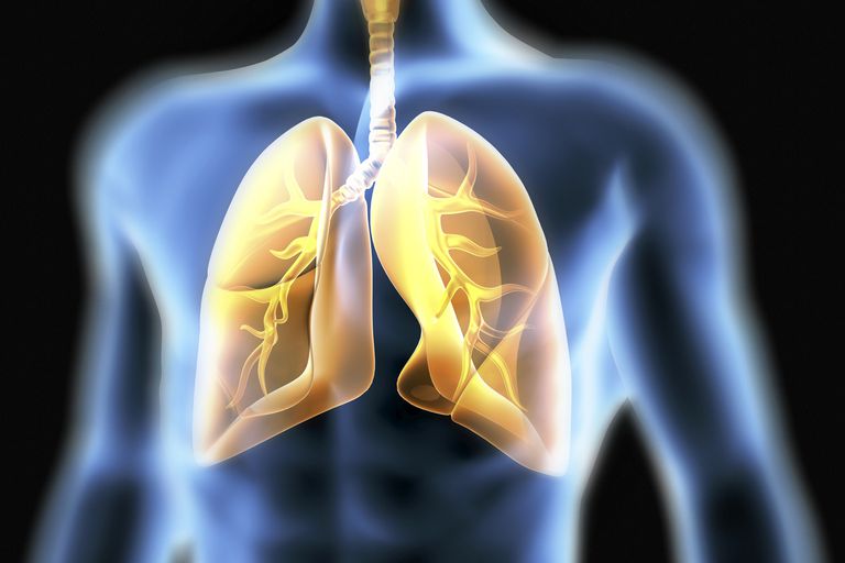 țesutului pulmonar, toate acestea, factori creștere, studiile clinice, țesutul pulmonar