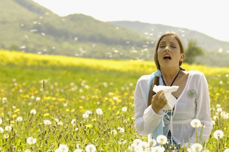 Dacă sunteți, mare parte, polen mucegai, Acest lucru, acest tratament, alergiile sezoniere