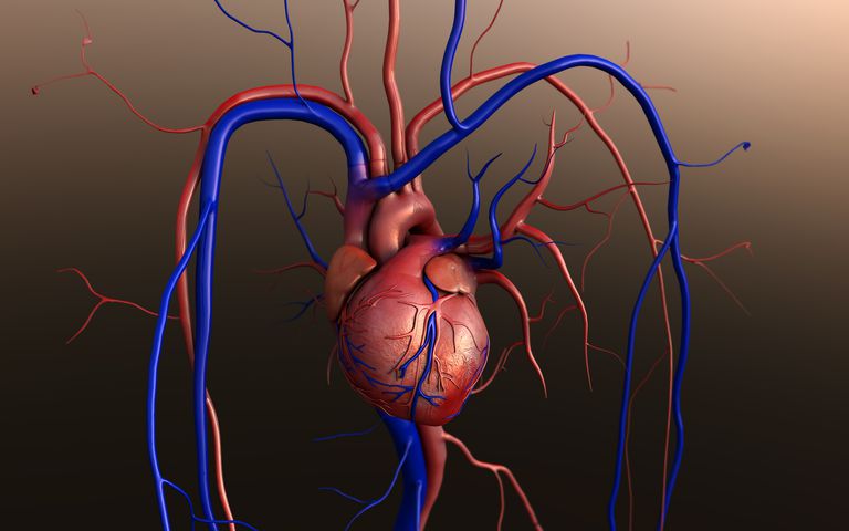 transplantul inimă, care nevoie, inimă nouă, insuficiență cardiacă, nevoie transplant, pentru preveni