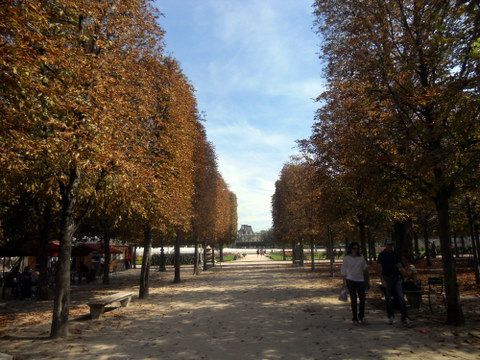Arcul Triumf, de-a lungul, Place Concorde, Doriți faceți, Muzeul Luvru