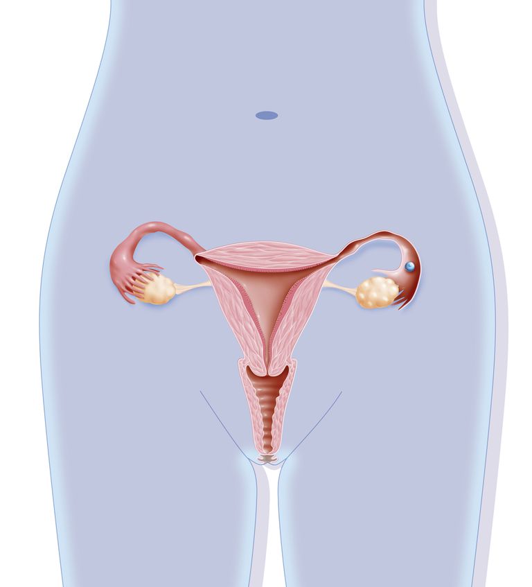 cancer uterin, colului uterin, Aceasta este, celulelor cervicale, colul uterin, test Papanicolau