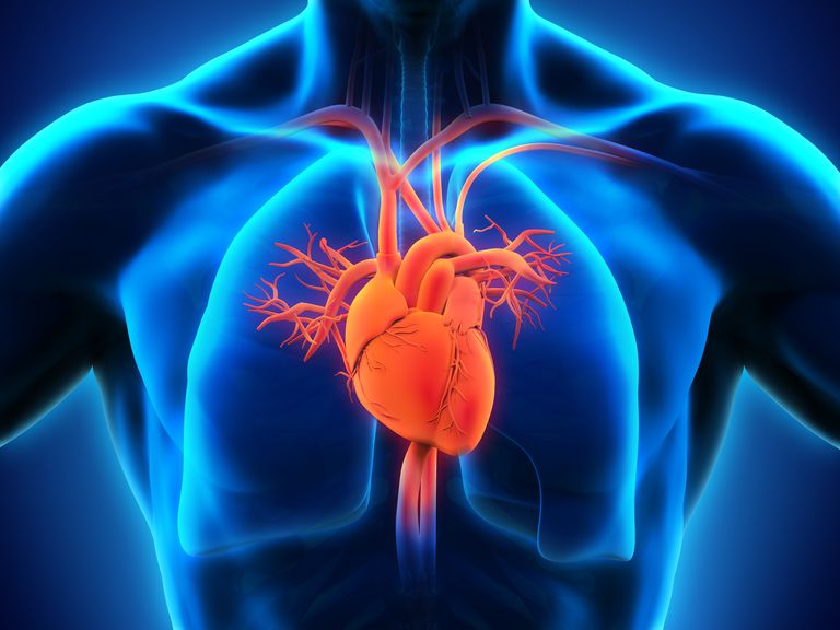 stenoză aortică, stenoza aortică, stenozei aortice, supapa aortică, ventriculul stâng