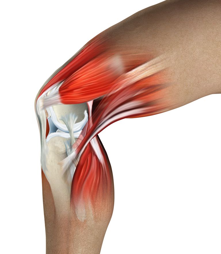 durerii genunchiului, genunchiului poate, articulație normală, artrita reumatoidă