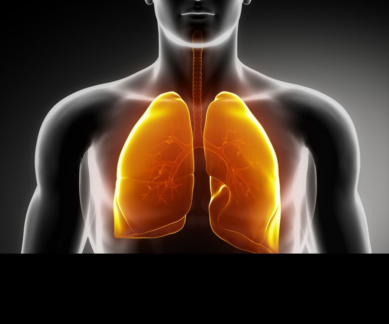 cancer pulmonar, stadiu incipient, cancerului pulmonar, pulmonar stadiu, cancerul pulmonar