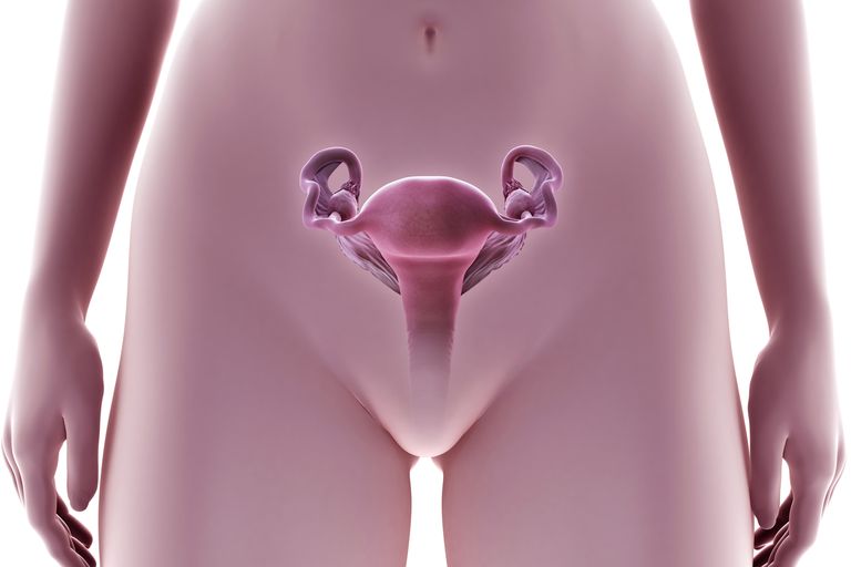 biopsie endometrială, endometrial este, este procedură, Acest lucru