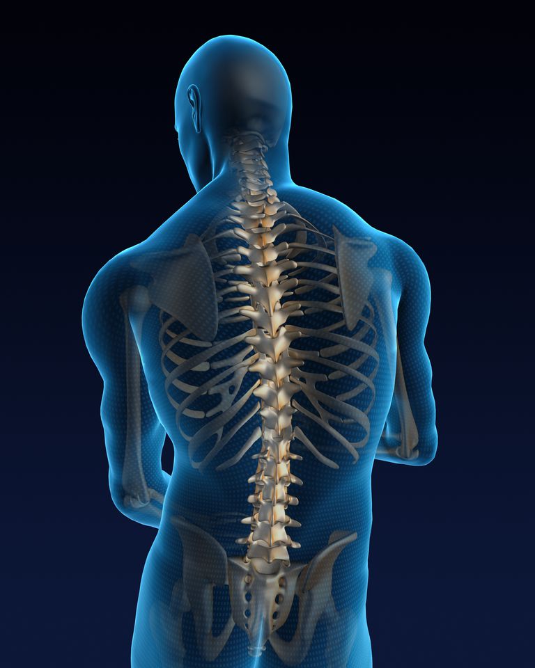 coloana vertebrală, coloanei vertebrale, care este, atunci când